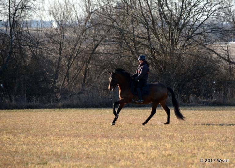 2017-12-16 09.59.41-1