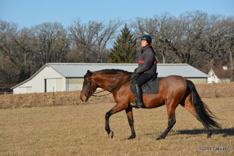 2017-12-16 10.02.44-1