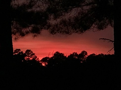 Georgia Sunset