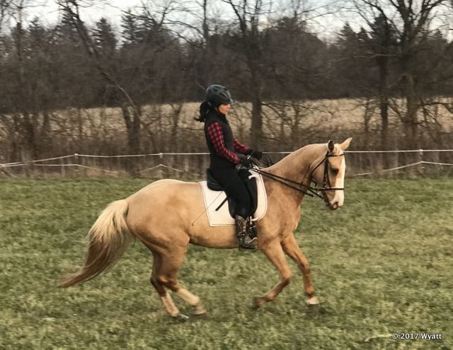 Riding 12-2-17 - 5
