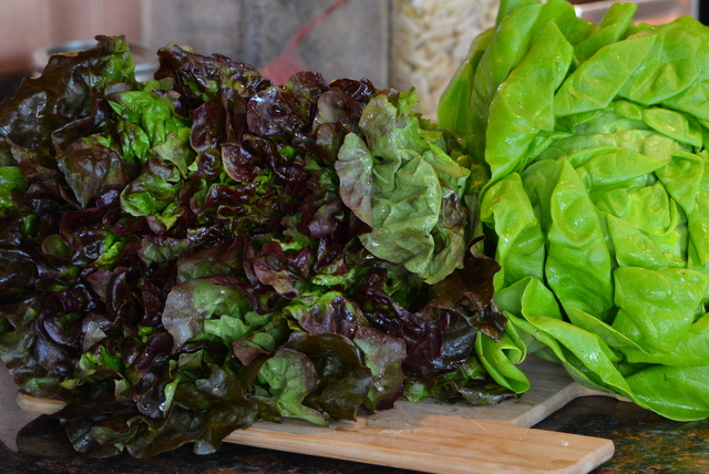 Champagne-Tarragon_5834